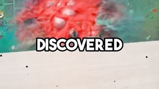 Insane Facts you didn't know