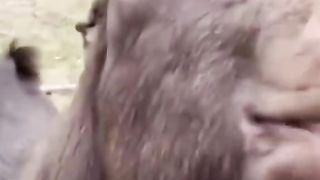 Funny video viral 2023 2