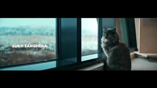 Haal (Still Here)  official video song 2023