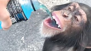 Just a sip!
