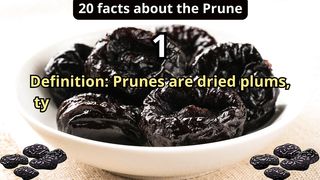 20 Facts about prune