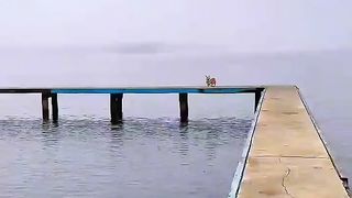 Приколи 627