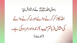 اسلامی معلومات Like share follow 112