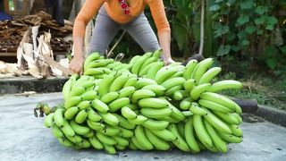 Harvest Big Bananas Go To Market Sell, Buy Ducklings To Raise _ Anh Free Bushcraft