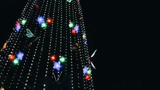 Beautiful Christmas Lights