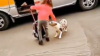 So adorable to watch : Aweeeee bless.