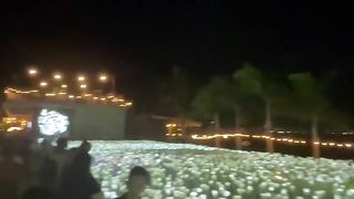 Beautiful Roses 3