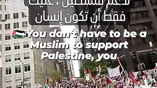 You don't have to be a Muslim to support Palestine, you have to be a human