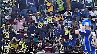 Cricket 78