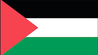 Nestapa Anak Anak Palestina