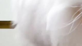 Funny cat #funny animal #kucing lucu #kucing gemoy 3 38