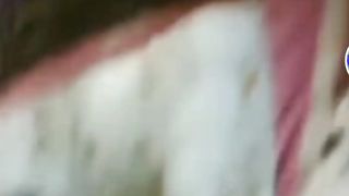 Bayi kelainan Anencephaly