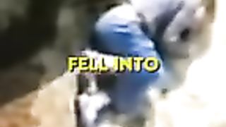 Gorilla Saves Boy????