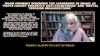 Noam Chomsky | Exposes Israel's Brutal Thuggish organizations