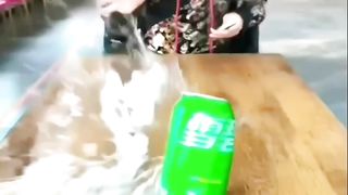 Respect amazing videos 2