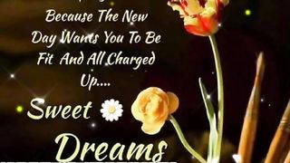 Good Night!