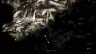 Sehabis hujan, ikan lele yang sehat akan lebih rakus makan