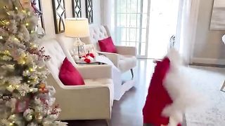 The Grinch VS. Santa