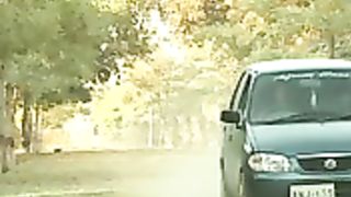 hameed bhutto , dard ja dohana , hamera chana
