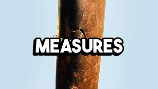 Dirty History Facts You Wouldn’t Learn In School #shorts #history