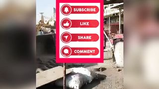 کراچی الآصف اسکوائر پر کارروائی