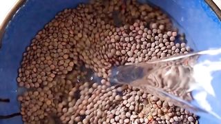 Masoor Dal Chawal
