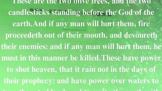 The Gospel according to John 44