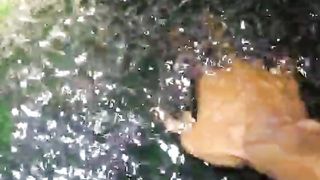 "MANA ADA PETANI KAYA" apa kalian masih mau jadi petani❓