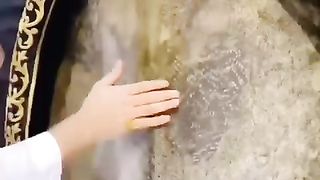 Masha Allah 52