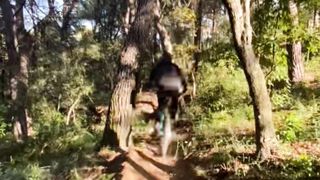 Mtb steez