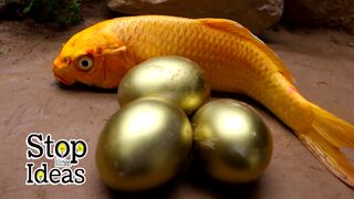 Primitive Cooking Ideas - Eels...sea crabs, giant koi fish and a - Stop Motion