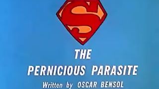 As Novas Aventuras do Super Homem 13