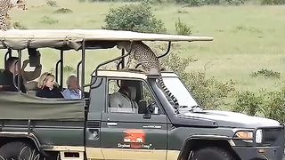 You most watch this