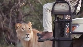 Don't skip this wonderful videos