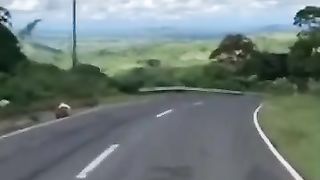 Motorcycle Ride.