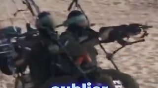 ????PALESTINE : Vous saviez ça ?