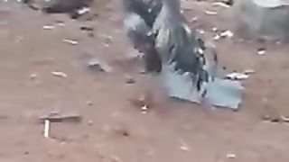 Army Murga