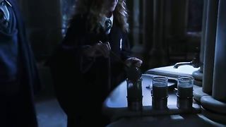 Polyjuice Potion - Harry Potter and the Chamber of Secrets Download