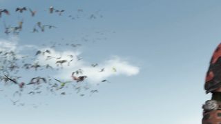 Draught of Living Death from Harry Potter and the Order of the Phoenix