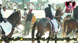 #febspot#foryou #foryoupage#horses#ridings#vedios #fyp #Ahmad#horsepower#trendin54
