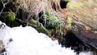 Natural video 125