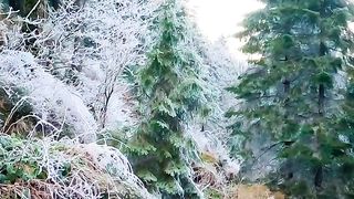 pinterest_video