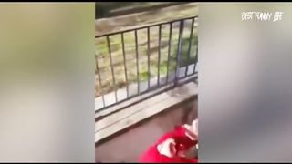 #FUNNY VIDEO????????????????????
