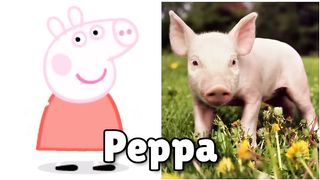 Funny Peppa Pig Characters in Real Life | REALife 2