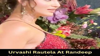 Urvashi Rautela At Randeep Hooda's Wedding Reception #urvashirautela #short #shorts #trending #viral #bollywood #viralshorts