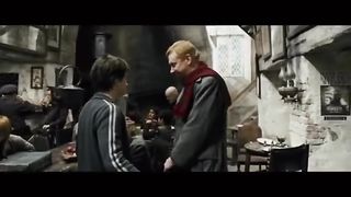 Harry Potter vous avez vu ma grosse chatte .