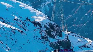 New viral neature video