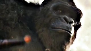 GODZILLA AND KINHUNG ????