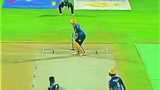 Cricket 79