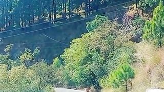 Nathia Gali Road I Think